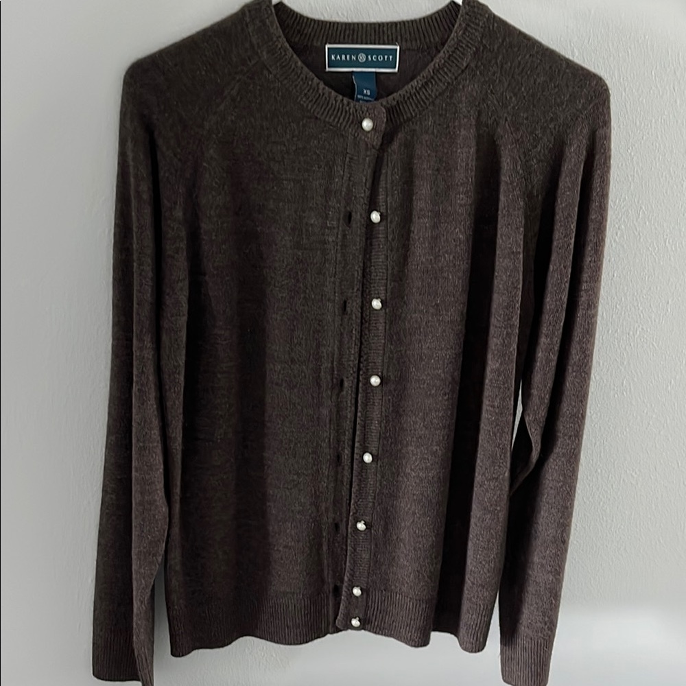 Karen Scott Brown Sweater